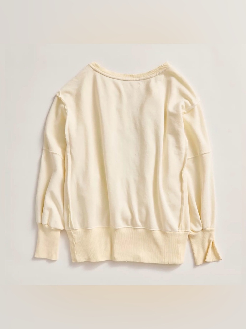 We The Free Camden Graphic Sweatshirt Mallard Combo 🦆🔥 free people - Picture 10 of 16